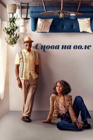 Снова на воле